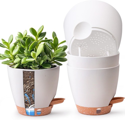 Self watering plant pots - watering,