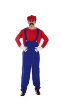 Mens Adult Super Mario Fancy