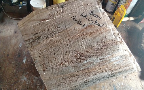 Large beech bowl - large, blank