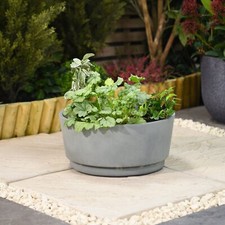 Garden Gear Caesar Concrete Grey Effect Bowl Planter 2 Sizes Lightweight Flower