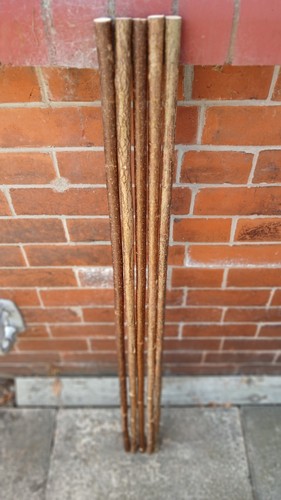 Hazel walking stick shanks - walking,