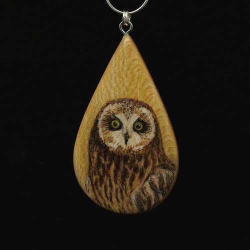 Short eared owl - short, quarter