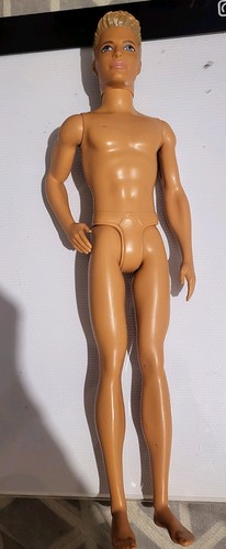 Ken plastic doll 2010 body - ken,
