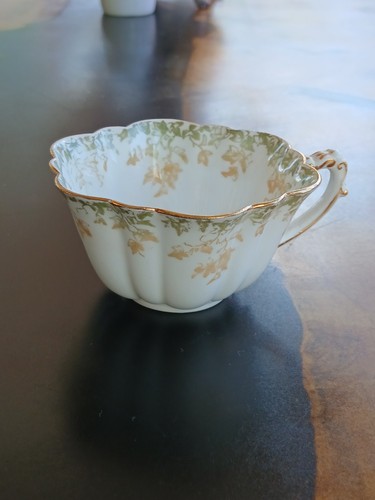 1890 wileman co daisy - wileman,