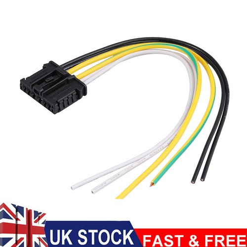 Rear tail light - rear, plug
