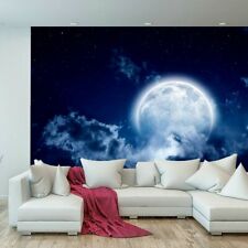 Full Moon Stars Sky Night Wallpaper Mural Photo Kids Bedroom Home Poster Deco