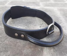Dog Collar With Handle Real