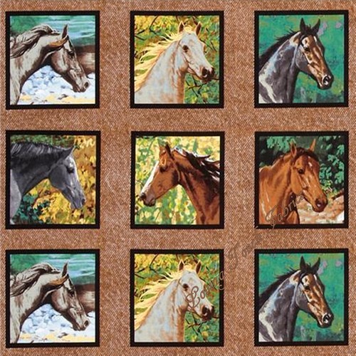 Western southwestern horses - western,