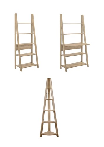 Ladder bookcase shelving - bookcase,