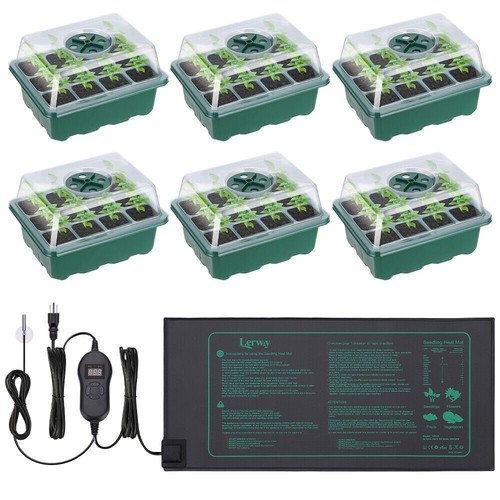 Cell seed tray plant - tray,