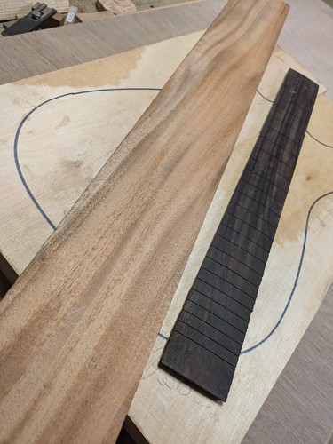 Electric guitar tonewood deal - guitar,