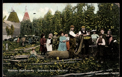 Postcard kent hop picking - postcard,