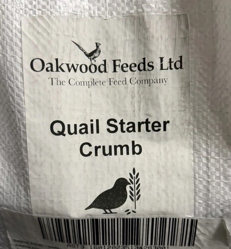 Oakwood quail chick - oakwood,