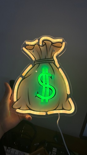 Neon money bag - led, light