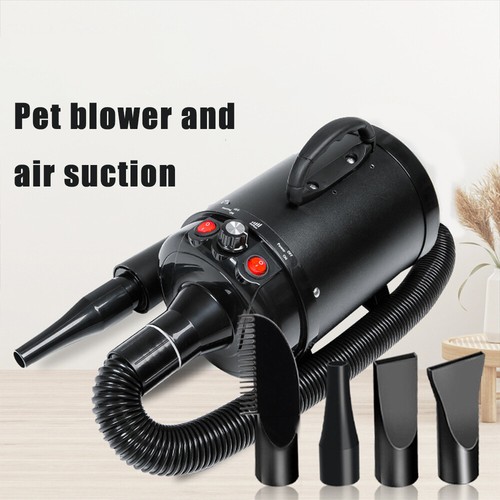 Professional pet hair dryer - pet,