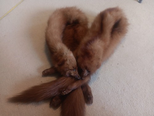 Vintage double mink fur - double,