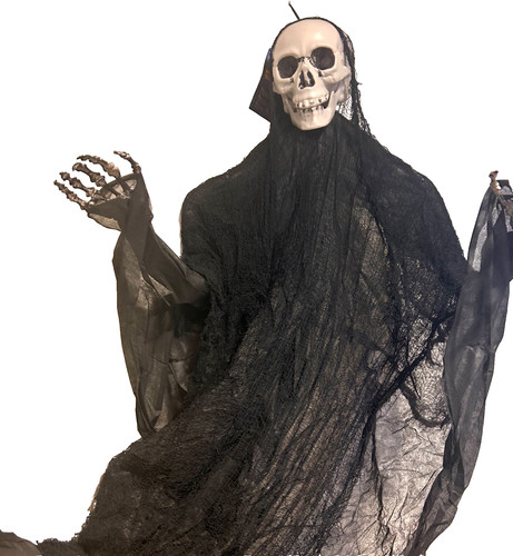Life sized halloween - life, skeleton