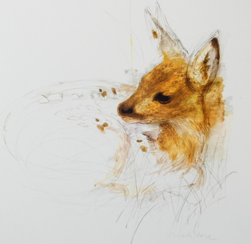 Deer wildlife art print - wildlife, mads