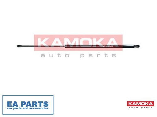Gas spring boot cargo - gas, boot/cargo