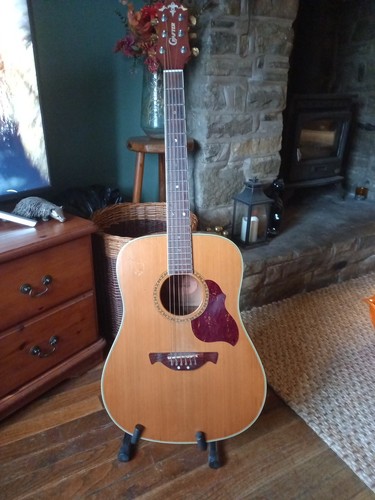 Crafter acoustic guitar - d7,