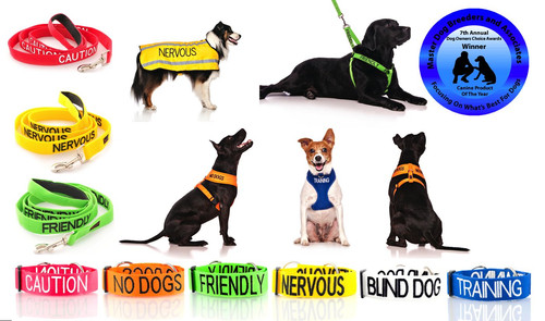 Warning alert dog - warning, collar