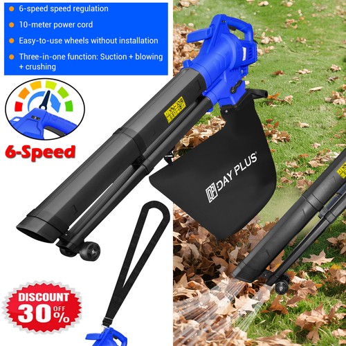 Leaf blower and - leaf, in