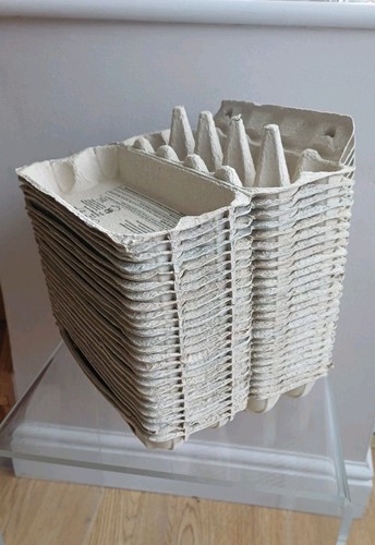 Egg boxes empty - egg, x