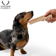 Elk Antler Dog Chew Natural