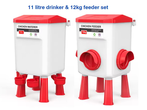 Chicken poultry feeder - chicken, drinker