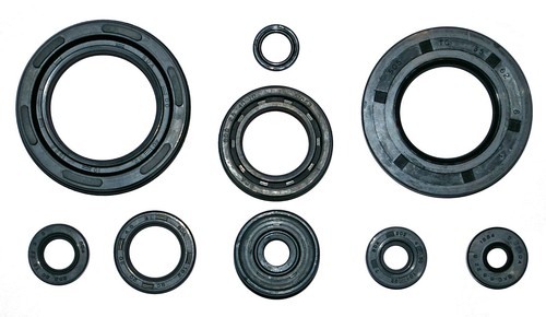 Engine oil seal - set, fits