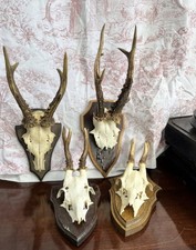 Set Of Four Deer And Roe Deer