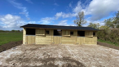 10ft 30ft horse - 10ft, x