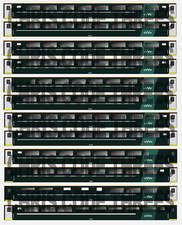 Adhesive Vinyl Coach Decal N