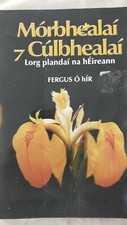 Morbhealai & Culbhealai Lorg plandai na hEireann by Fergus O hir Irish Language