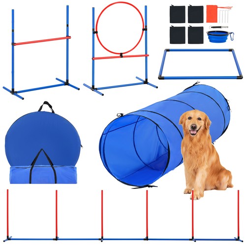 Dog agility training - dog,