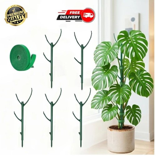 6pcs monstera plant - monstera, support