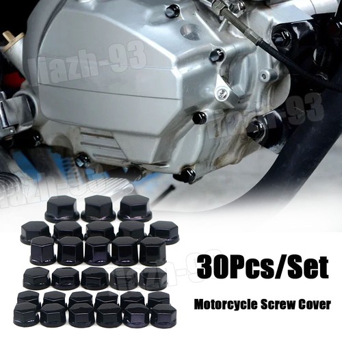 30x motorcycle screw - screw, nut
