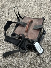 Foal Horse Harness Training Walking