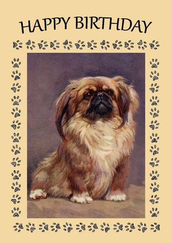 Pekingese dog birthday - birthday, card