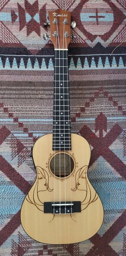 Electro acoustic concert - 23", electro-acoustic