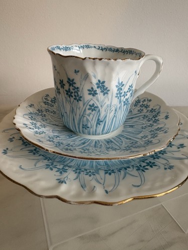 Antique wileman foley china - wileman,
