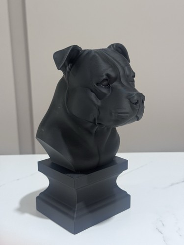 Saffordshire bull terrier - terrier, bust