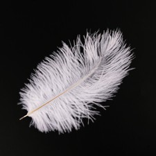 25-30cm Large Ostrich Feathers