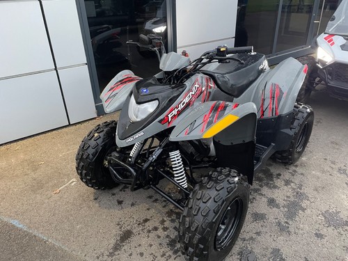 Polaris phoenix 200 - 200, youth
