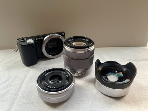 Sony nex mirrorless camera - sony,