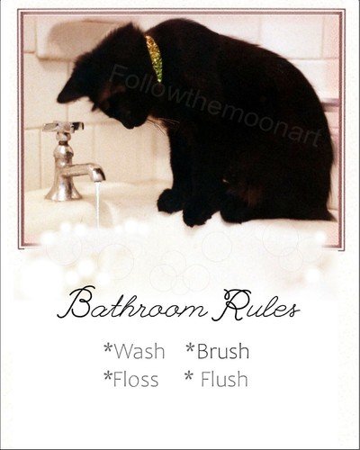 Pretty boy black cat bathroom - boy,