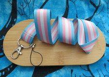 LGBTQ Trans Pride Flag Colours