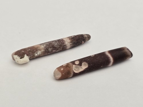 Modern pencil sea urchin - pencil,