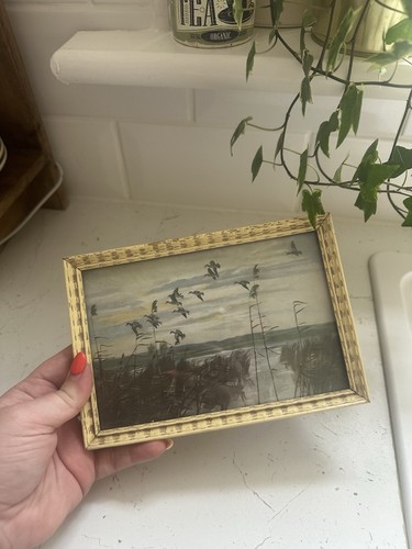 Vintage framed flying - framed,