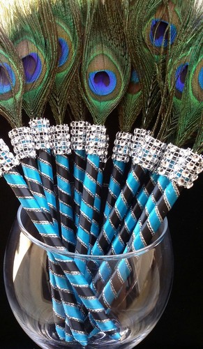 Peacock feather pen - peacock,